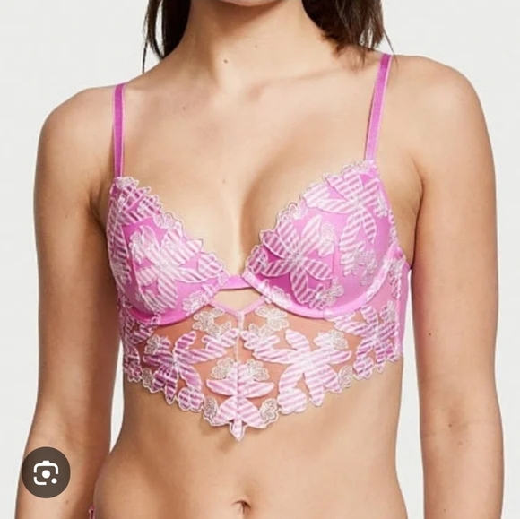Victoria's Secret LUXE LINGERIE Embroidered Bra Size 36DD  BerryGel Stripe Pink - Picture 1 of 13